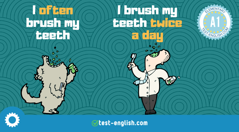 Cartoon of two characters demonstrating adverbs of frequency: one monster saying 'I often brush my teeth' and a chef stating 'I brush my teeth twice a day' for an A1 English grammar lesson.