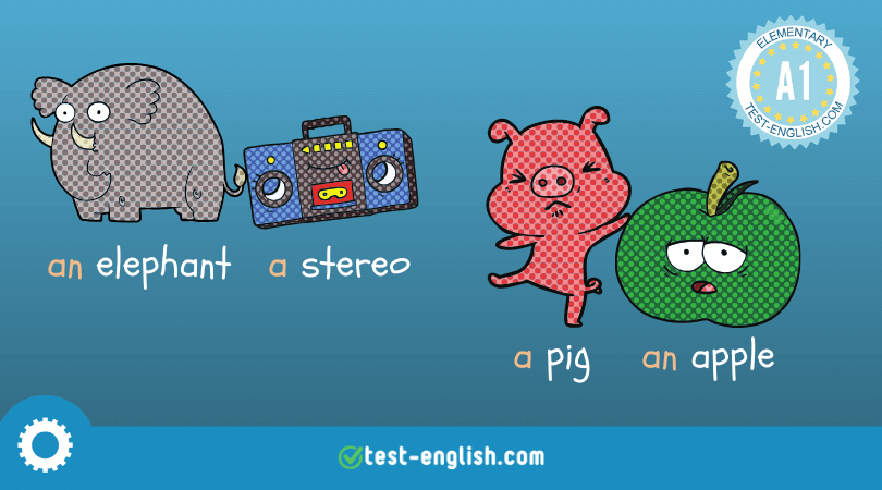 a/an, plurals – singular and plural forms
