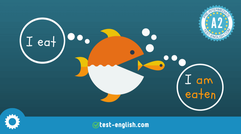 Present and past simple passive: be + past participle