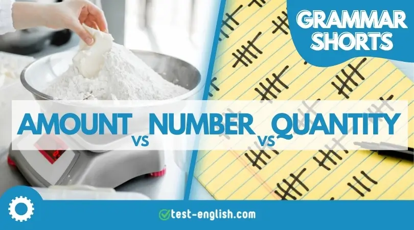 Grammar illustration showing flour being measured on a scale and tally marks on a notepad, representing the difference between amount, number, and quantity.