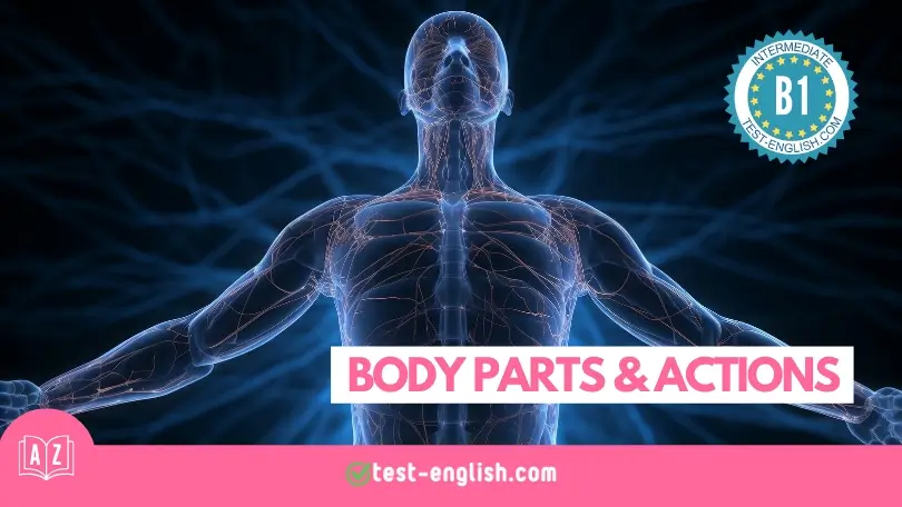 Digital illustration for 'Body Parts & Actions' vocabulary lesson, featuring a transparent human figure with highlighted nervous system, against a dark background with the text 'Intermediate B1 English' and staging.test-english.pro logo.