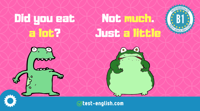 much, many, a lot, little, few, some, any, no – quantifiers