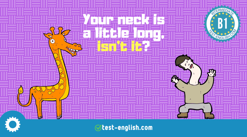 Question tags – aren't you? don't you?