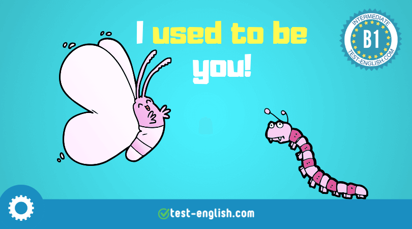 Usually, used to, be used to, get used to